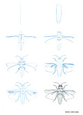 Эймис Л. Дж., Барнс Р. — Рисуем 50 насекомых - страница