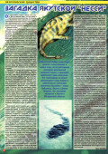 НЛО № 47 (160) 20.11.2000 - страница